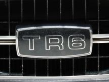 Triumph TR6 '73 (1973)