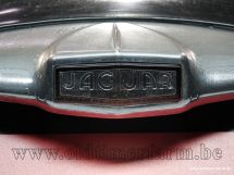 Jaguar MK VII 3.4 '56 (1956)