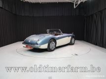 Austin Healey 100/6 BN6 Two Seater '58 (1958)