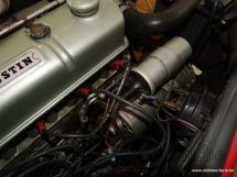 Austin Healey 3000 MK III BJ8 '67 (1967)