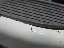 Lambretta  150 LD Mk II '56 (1956)