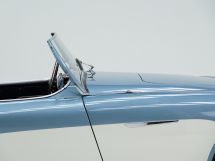 Austin Healey 100/4 BN 1 '54 (1954)