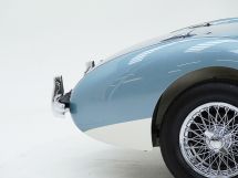 Austin Healey 100/4 BN 1 '54 (1954)
