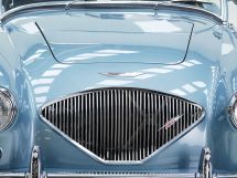 Austin Healey 100/4 BN 1 '54 (1954)