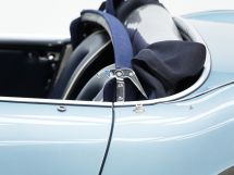 Austin Healey 100/4 BN 1 '54 (1954)