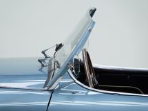 Austin Healey 100/4 BN 1 '54 (1954)