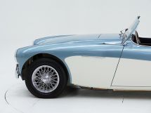 Austin Healey 100/4 BN 1 '54 (1954)