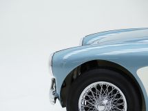Austin Healey 100/4 BN 1 '54 (1954)