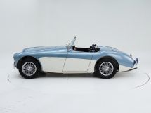 Austin Healey 100/4 BN 1 '54 (1954)