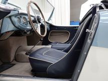 Austin Healey 100/4 BN 1 '54 (1954)