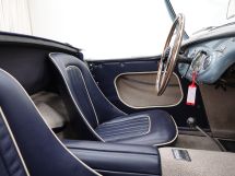 Austin Healey 100/4 BN 1 '54 (1954)