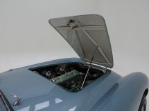 Austin Healey 100/4 BN 1 '54 (1954)