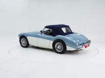 Austin Healey 100/4 BN 1 '54 (1954)