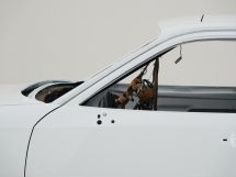 Porsche 924 Rally Turbo Works Project  #0005 '78 (1978)