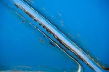 MG B Roadster '79 (1979)