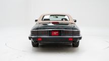 Jaguar XJS V12 Convertible '92 (1992)