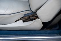 Mercedes-Benz 420 SEC '86 (1986)