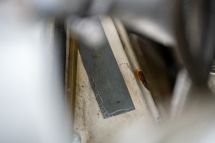 Jaguar E-Type Series 3 V12 '74 (1974)