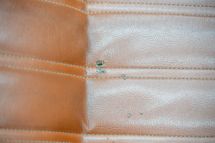 Fiat 124 Spider '79 (1979)