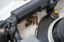 Suzuki Cappuccino '92 (1992)