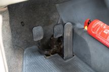 Volkswagen Kever 1300 '70 (1970)