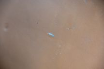 Porsche 911 2.4 S '73 (1973)