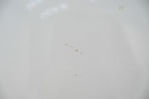 Mercedes-Benz 190 SL + Hardtop '58 (1958)