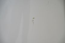 Mercedes-Benz 190 SL + Hardtop '58 (1958)