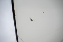 Mercedes-Benz 190 SL + Hardtop '58 (1958)