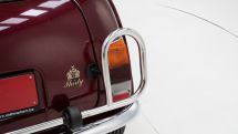 Mini 30th Anniversary '89 (1989)
