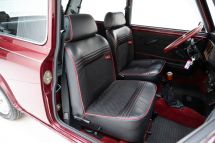 Mini 30th Anniversary '89 (1989)