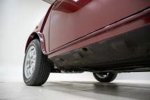 Mini 30th Anniversary '89 (1989)
