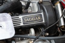 Jaguar E-Type Series 3 V12 '72 (1972)