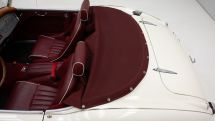 Austin-Healey 100/6 '57 (1957)