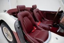 Austin-Healey 100/6 '57 (1957)