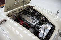 Austin-Healey 100/6 '57 (1957)