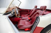 Austin-Healey 100/6 '57 (1957)