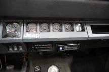 Jeep Wrangler Edition 4.0 '93 (1993)