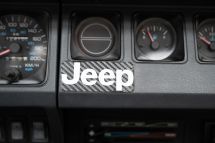 Jeep Wrangler Edition 4.0 '93 (1993)